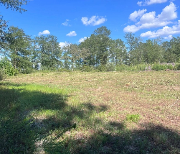 Downs Land and Wildlife Solutions home media2