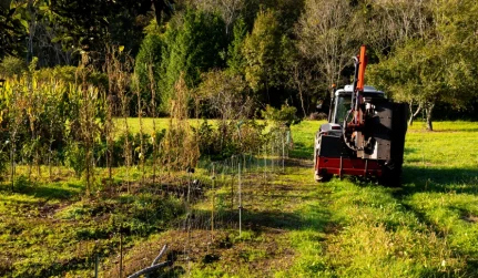 Wildlife, Food Plots & Trail Management Mitchell, GA